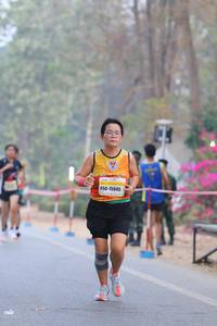 BIB: 15045
                            <button type="button" onclick="openModal(10409573)" class="btn btn-primary btn-sm float-right btn-popup" data-toggle="modal" data-target=".modal-high-quality">
                        <i class="fas fa-shopping-cart"></i> Add to Cart
                    </button>
                                            <button type="button" onclick="isThisMe(10409573, true)" class="btn btn-success btn-sm float-right btn-popup btn-isme hidden" data-toggle="tooltip" data-placement="bottom" title="นี่คือรูปของคุณใช่ไหม คลิกที่นี่เพื่อเอาเข้าอัลบั้ม">
                        <i class="fas fa-plus"></i> Add to album
                    </button>
                    <button type="button" onclick="isThisMe(10409573, false)" class="btn btn-warning btn-sm float-right btn-popup btn-isnotme hidden">
                        <i class="fas fa-ban"></i> Remove from album
                    </button>